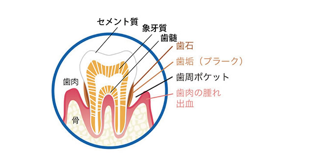 ロゴを挿入